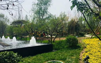 隆基泰和萬和郡動態(tài) 工地施工快馬加鞭園林綠化貼心服務(wù) 深圳安居客