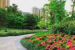 淺談社區(qū)園林綠化的養(yǎng)護管理,好養(yǎng)護讓綠化更美麗