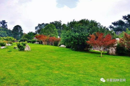 園林景觀綠化工程公司路在何方