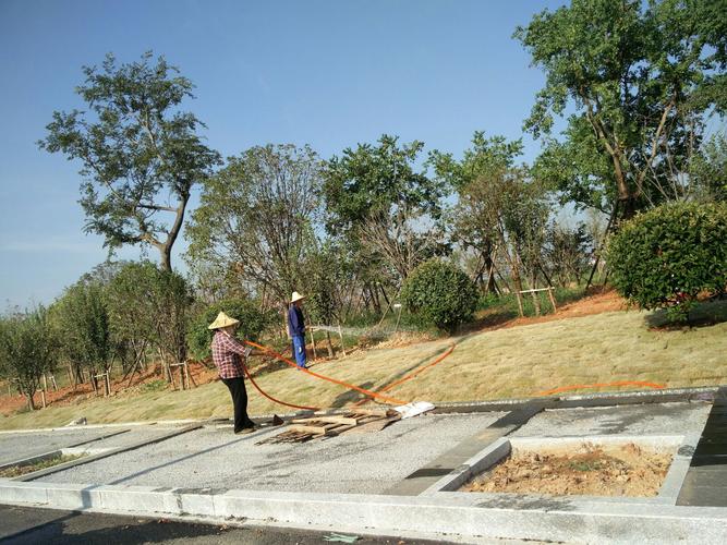 衢化西路南段一園林綠化工程 - 美篇