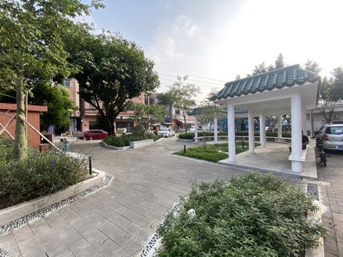 厚街鎮積極推進園林綠化品質提升工程，5個口袋公園建成落地