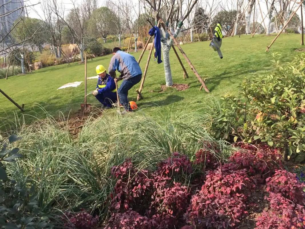 邊坡綠化工程 專業施工，筑造綠色家園的生態屏障